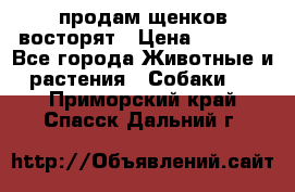 продам щенков восторят › Цена ­ 7 000 - Все города Животные и растения » Собаки   . Приморский край,Спасск-Дальний г.